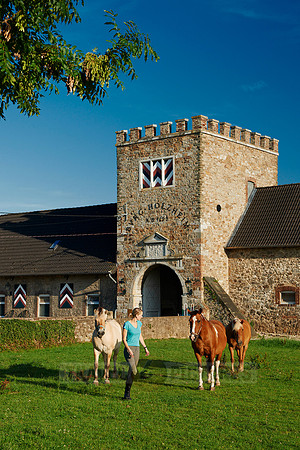 young lady with horses in front of Holzheim castle