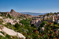 view into Pigeon Valley