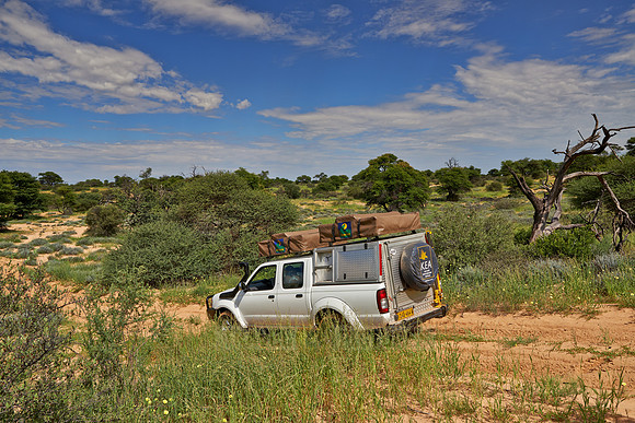 4x4 car in Mabuasehube