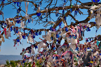Nazar amulets or blue eyes on a tree