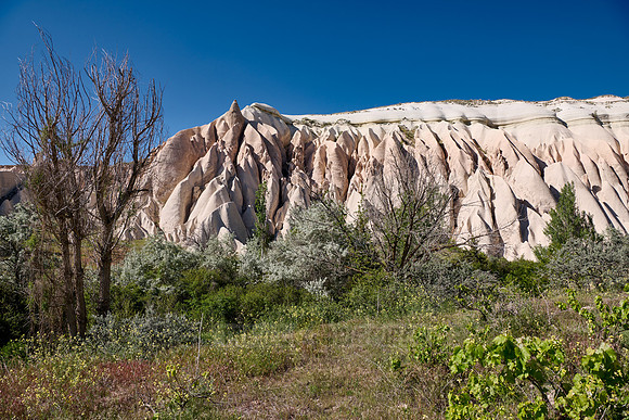 landscape of Rose Valley Goreme