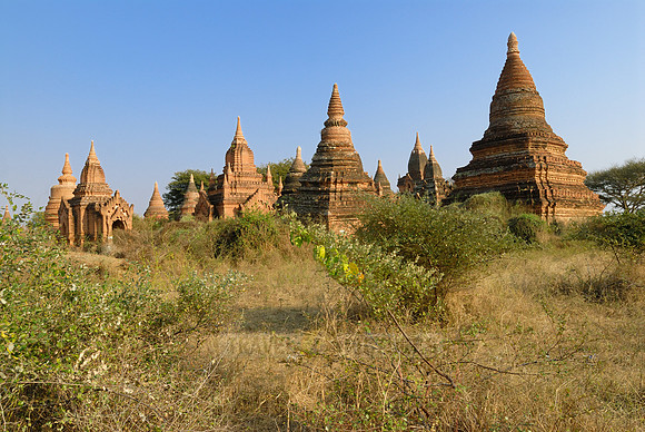 Paya-nga-zu Pagodas