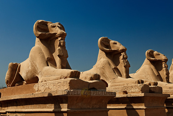 Corridor of ram-headed sphinxes at entrance