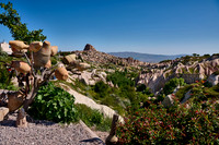view into Pigeon Valley