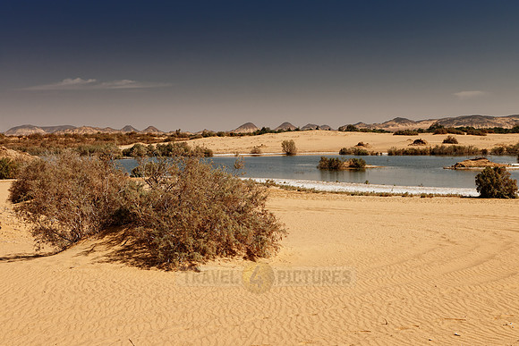 salty lakes near Oasis