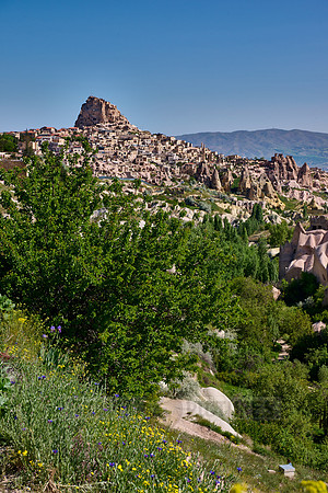 view into Pigeon Valley