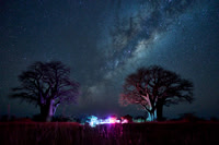 Milky Way with Baobabs, Botswana 06-2025