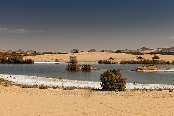 salty lakes near Oasis