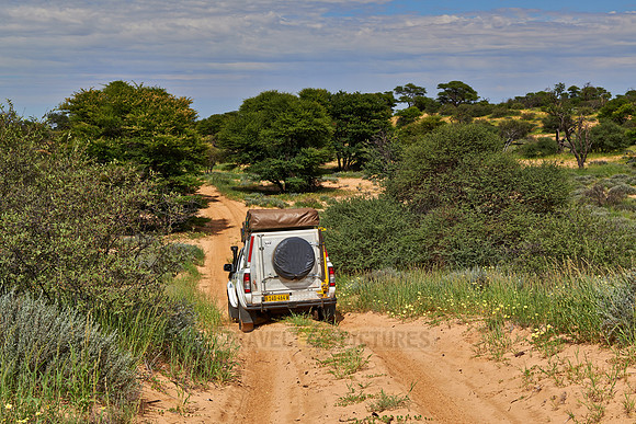 4x4 car in Mabuasehube