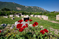 Sarcophagi on a meadow at Ephesus