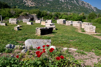 Sarcophagi on a meadow at Ephesus