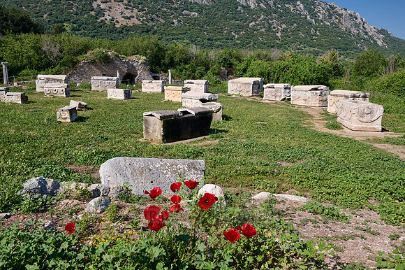 Sarcophagi on a meadow at Ephesus