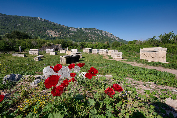 Sarcophagi on a meadow at Ephesus