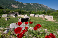 Sarcophagi on a meadow at Ephesus