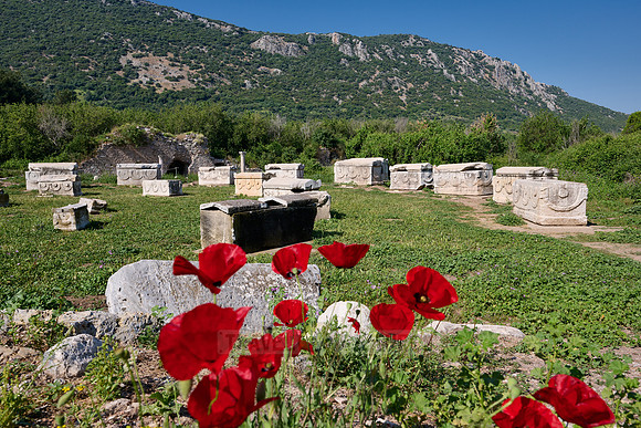 Sarcophagi on a meadow at Ephesus