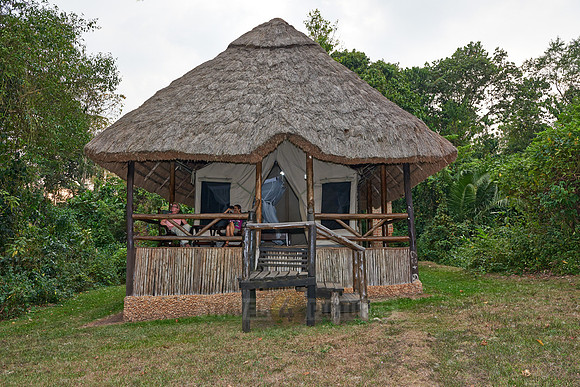 Primate Lodge Kibale