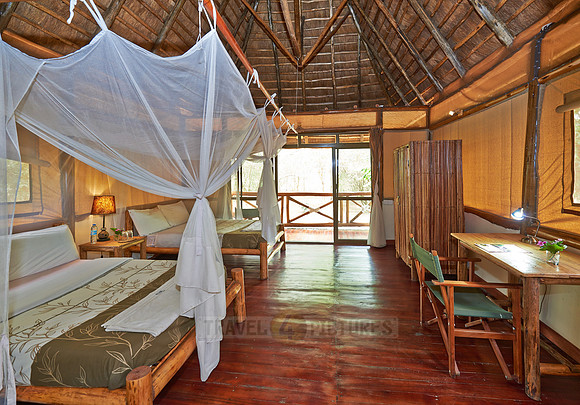 Ishasha Jungle Lodge