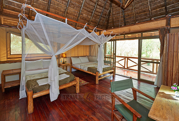 Ishasha Jungle Lodge