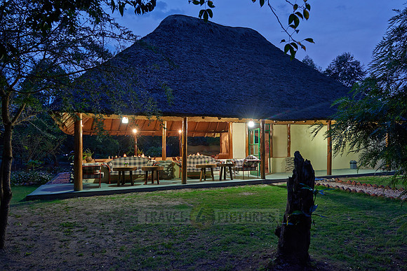 Ishasha Jungle Lodge
