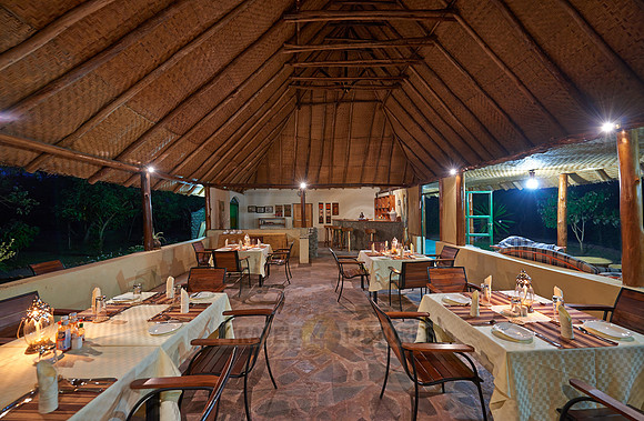 Ishasha Jungle Lodge