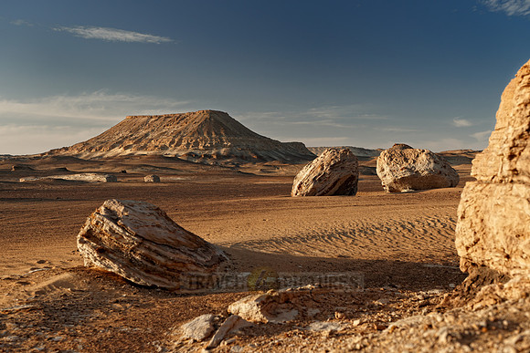 desert landscape