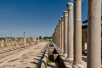 columns of western collonnaded street of Perge