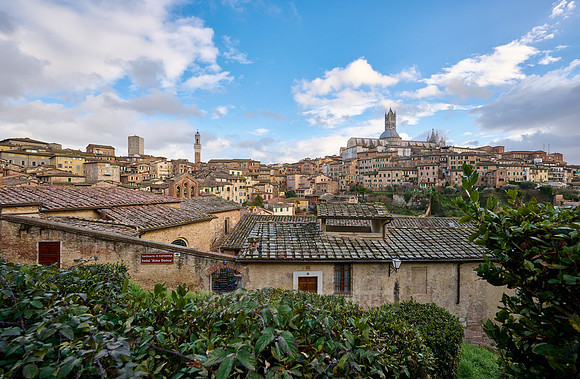 view over Siena with Cathedral