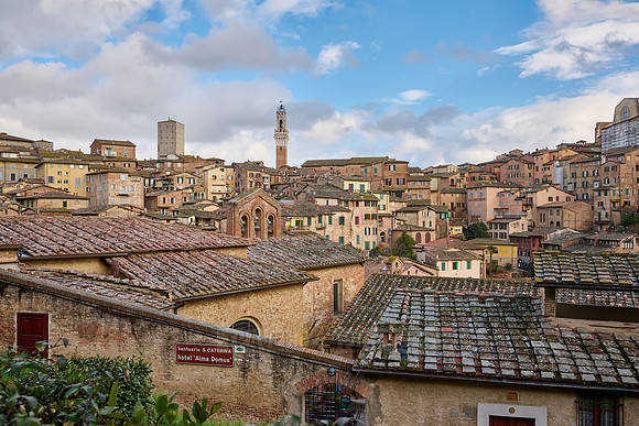 view over Siena with Cathedral