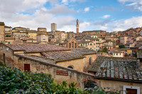 view over Siena with Cathedral