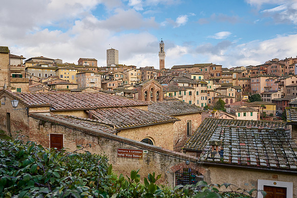 view over Siena with Cathedral