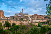 view over Siena with Cathedral