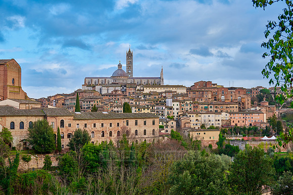 view over Siena with Cathedral