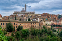view over Siena with Cathedral
