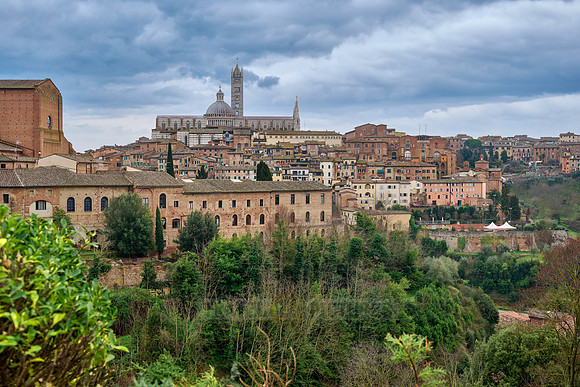 view over Siena with Cathedral