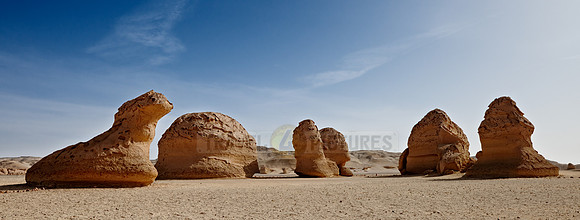 desert landscape at Wadi Hitan
