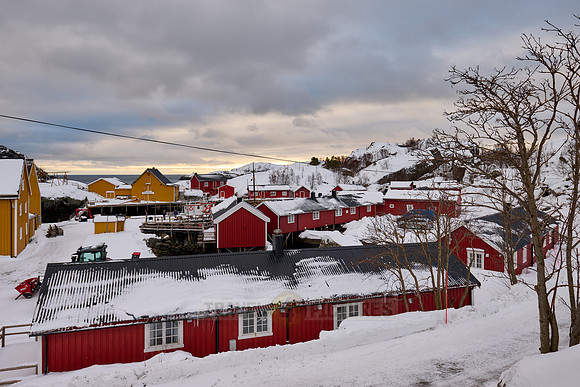 Nusfjord, Lofoten