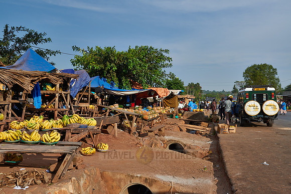 market stalls with pineapple and bananas