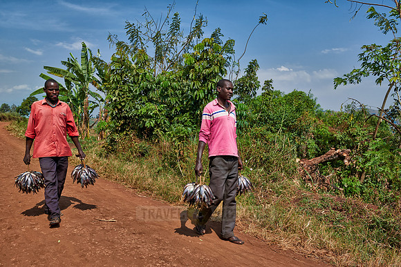 fishermen bringing their catch home