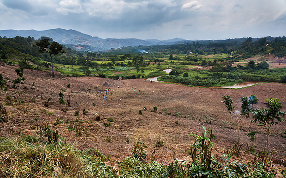 agriculture landscape