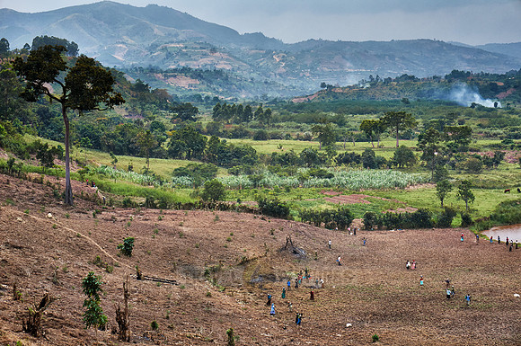 agriculture landscape
