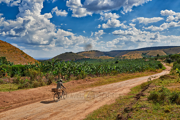 banana plantation near Lake Mburo