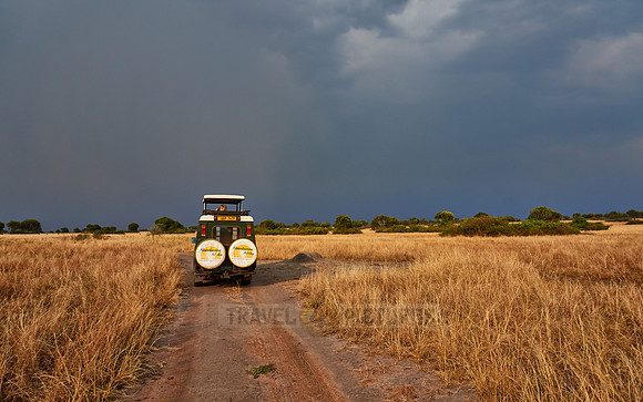 Landschaft im  Queen-Elizabeth-Nationalpark |landscape in Queen Elizabeth National Park|