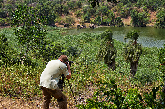 view from lodge to herd of African bush elephant