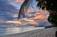 Sunset with palm leafes and clouds over the sea from the Anse Source D'Argent