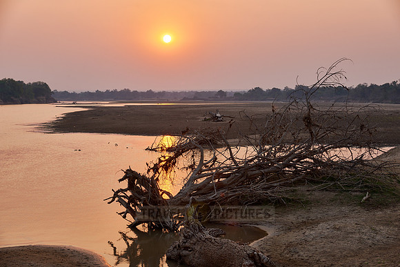 Sunset at South Luangwa river