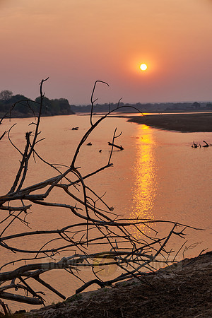 Sunset at South Luangwa river