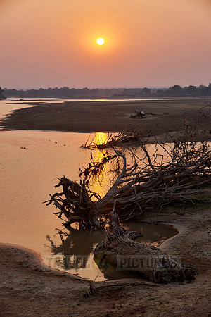 Sunset at South Luangwa river