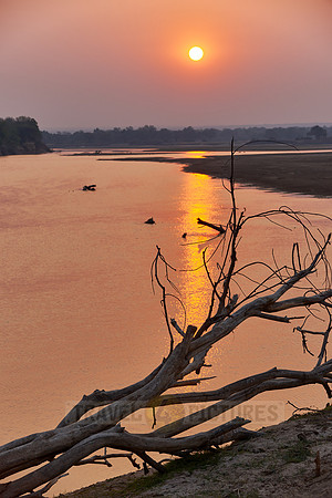 Sunset at South Luangwa river