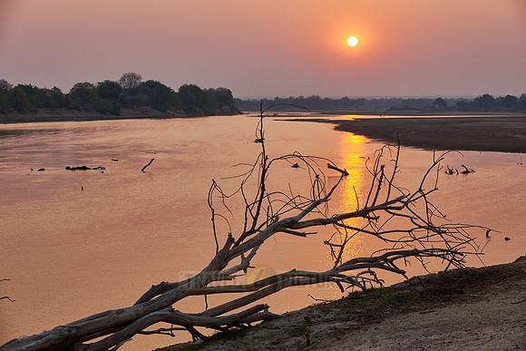 Sunset at South Luangwa river