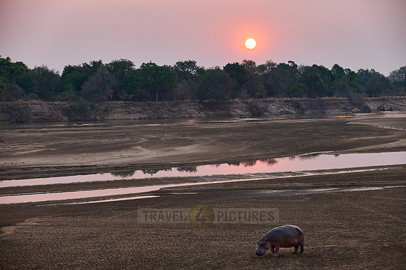 Sunset at South Luangwa river
